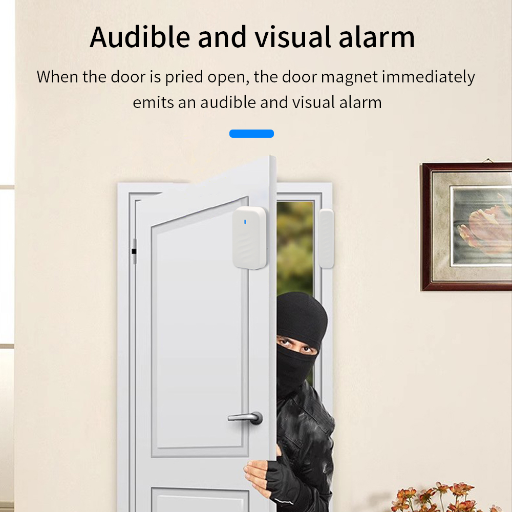 DS3 TTLOCK รีโมทคอนโทรลไร้สายส - Home Security For Windows บทวิจารณ์และราคา